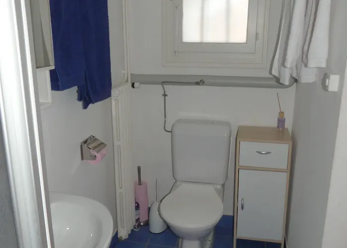 Au Bonheur Des Iris 3*